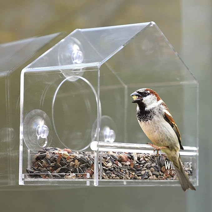Acrylic glass Window Bird Feeder Wildlife Friend