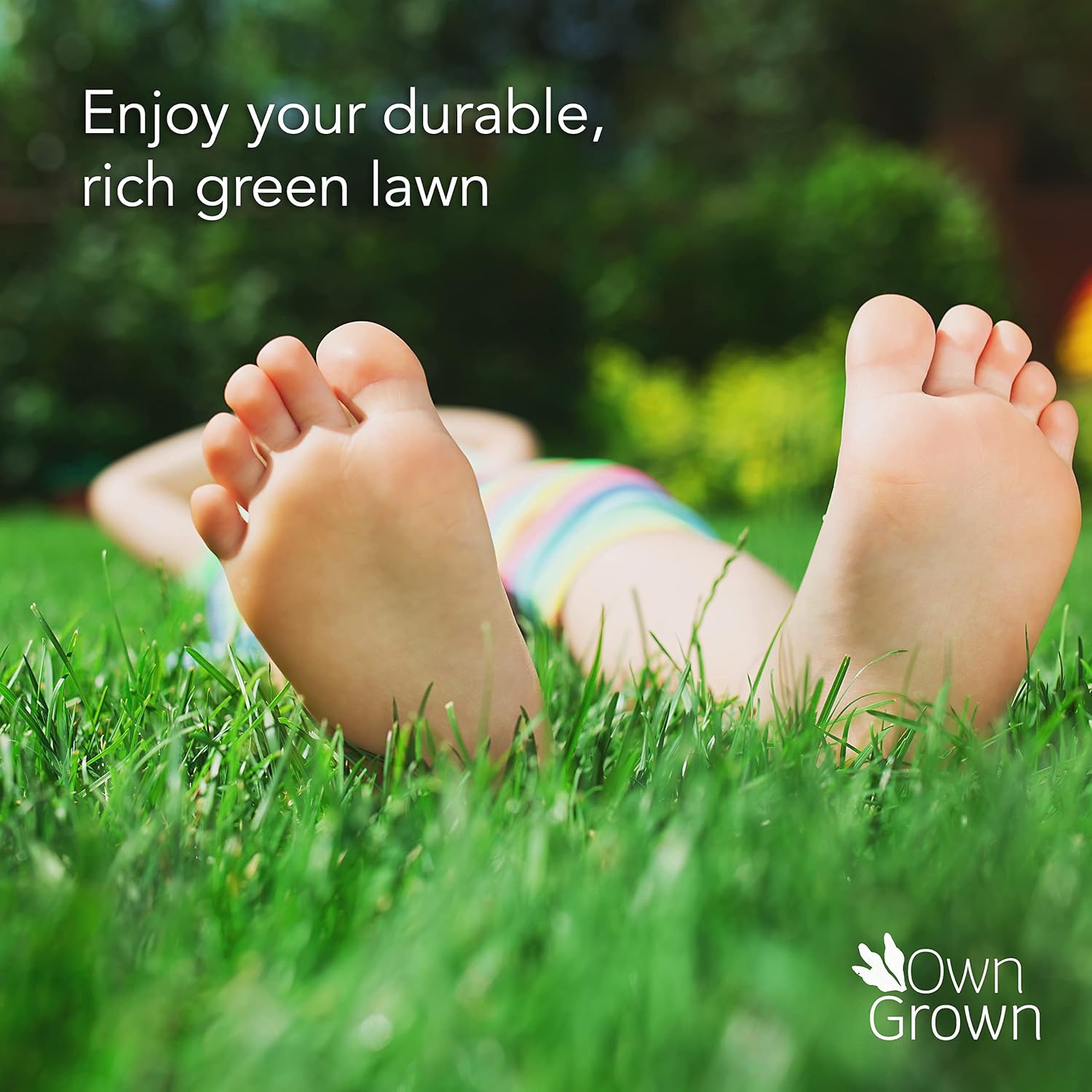 Lawn Seed Pellets: Lawn Repair Grass Seeds 180g à 10m² – Bird Resistant Grass Seed – Lawn Seeds Fast Growing