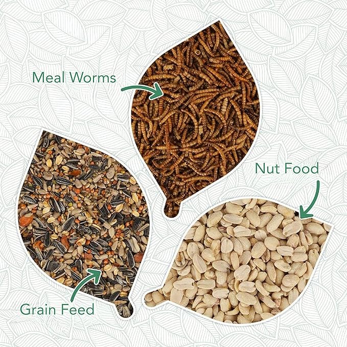 Acrylic glass Window Bird Feeder Wildlife Friend