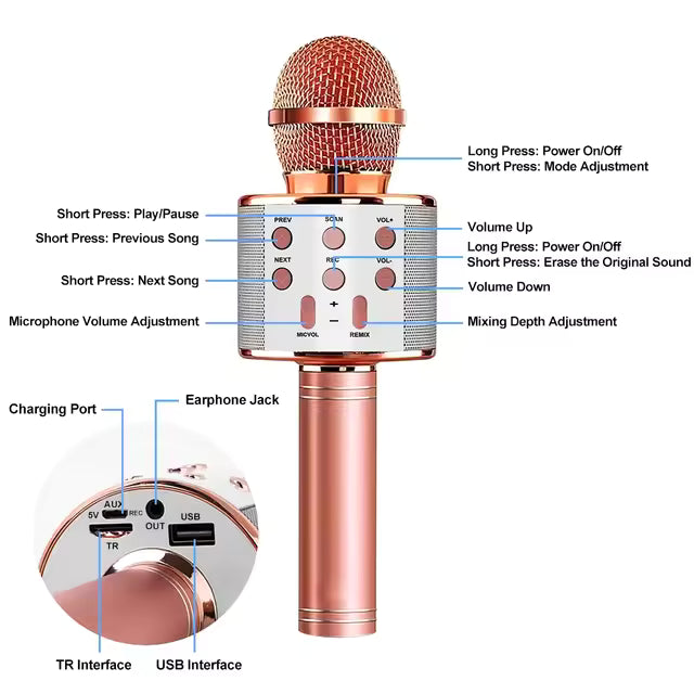 WS-858 Wireless handheld Microphone(Gold)