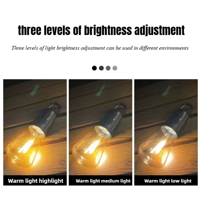 Outdoor USB Rechargeable LED Lamp Bulbs.T01