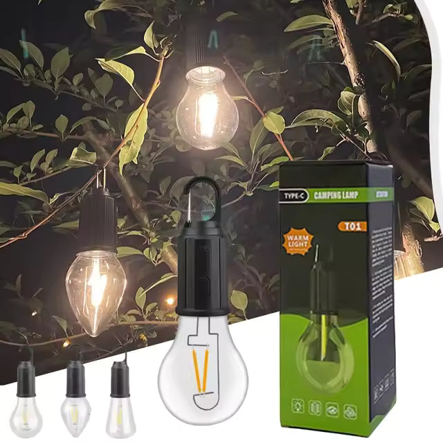 Outdoor USB Rechargeable LED Lamp Bulbs.T01
