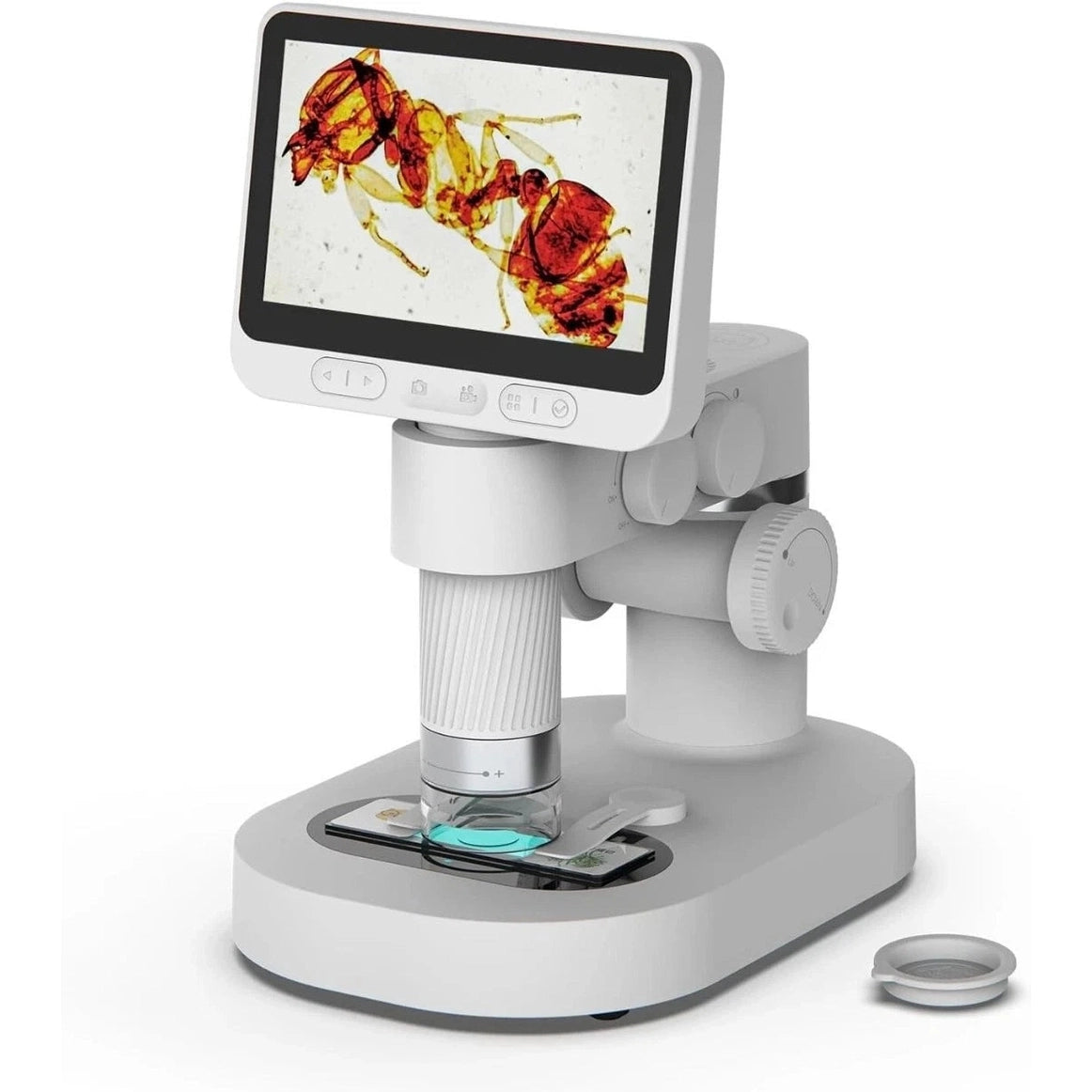 Beaverlab Digital Microscope with 4.3" 1080P IPS Display – Eco-Friendly Optical Staining