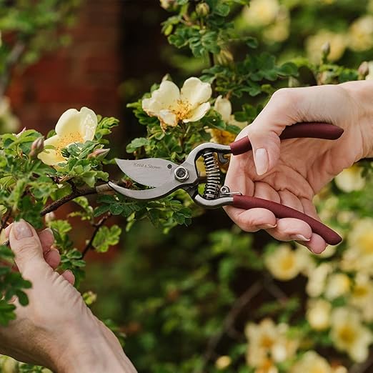 Traditional Bypass Secateurs – Compact Pruning Shears for Delicate & Precision Cutting