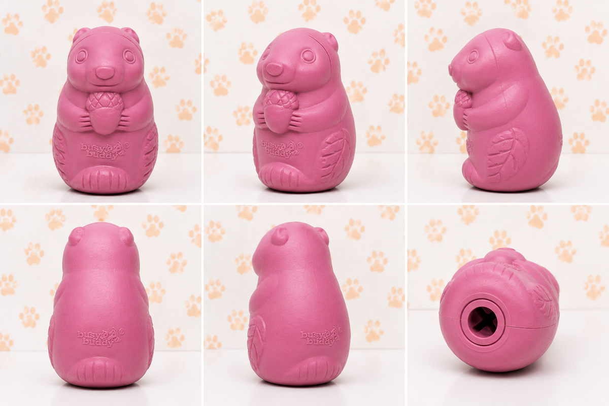 BUSY BUDDY PUPPY SQUIRREL DUDE - MEDIUM SIZE - FOR 2 TO 6 MONTHS PUPPIES