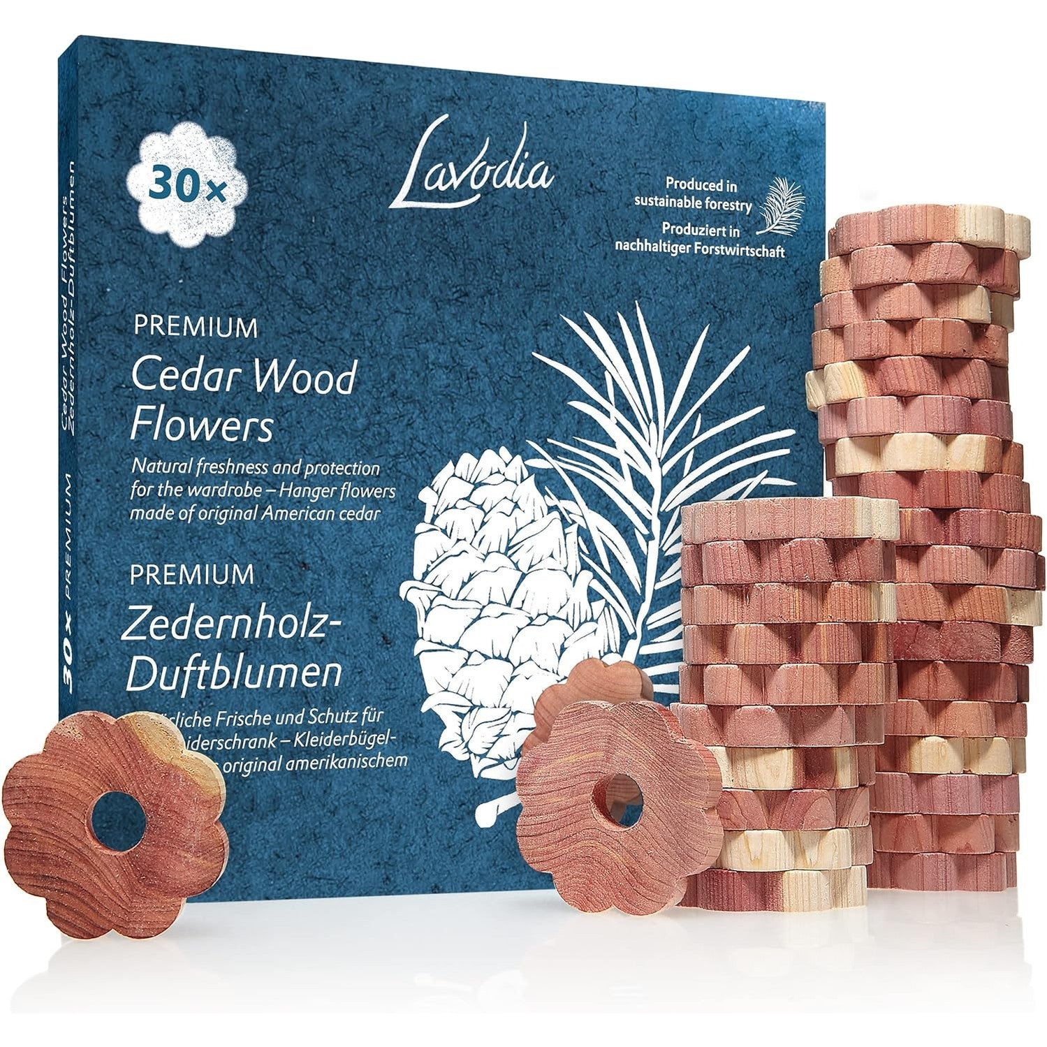 Lavodia 30x Cedar Wood Rings