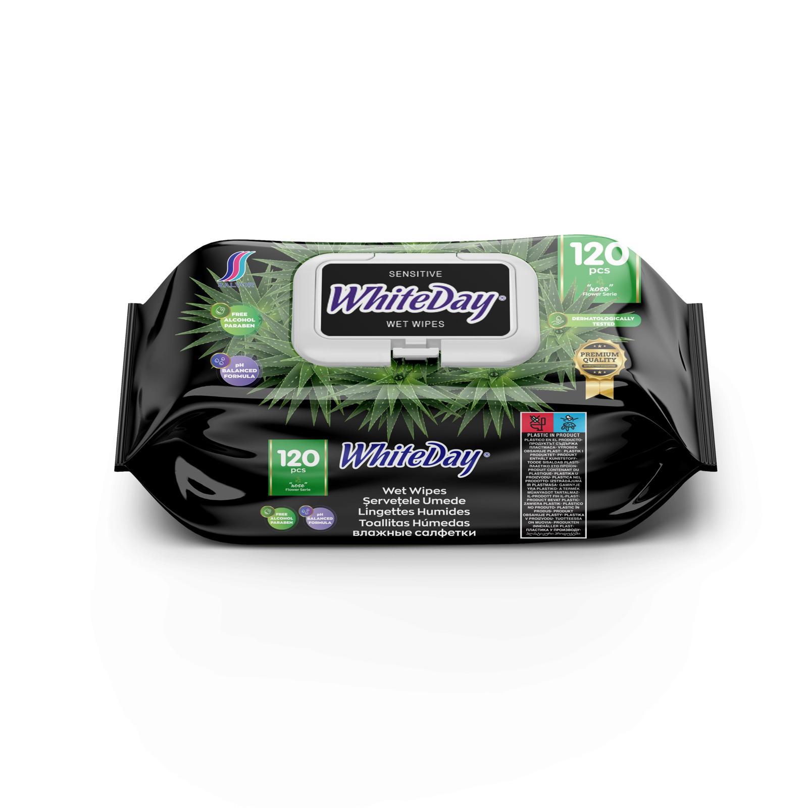 WhiteDay Antibacterial Cleaning Wipes Assorted Scents  – All-Purpose Hygienic Moist Wipes for Hands & Household Surfaces, Resealable Pack of 120 Pcs