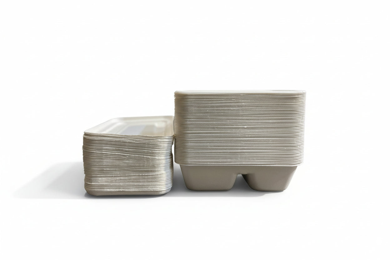 2-Compartment 100ml Disposable Tray with Lid - pack of 50  (pack of 50)